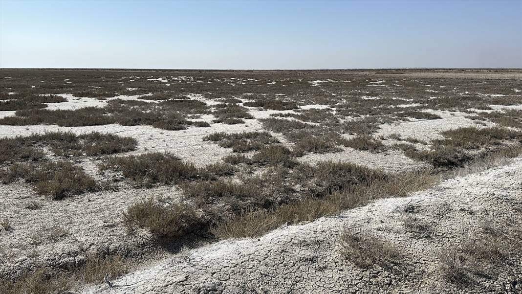 Tuz Gölü can çekişiyor! 130 bin futbol sahasından 13 bine düştü 13